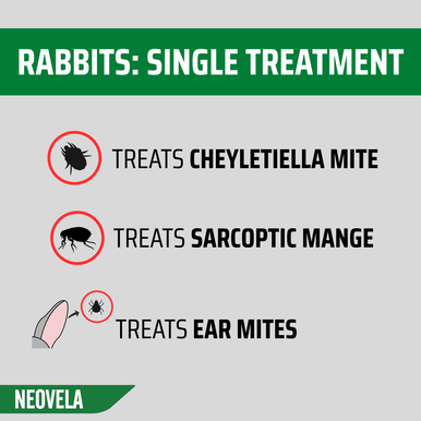 Neovela Flea And Worming for Puppies & Kittens (Selamectin) - Up to 2.5kg (4 Pack)