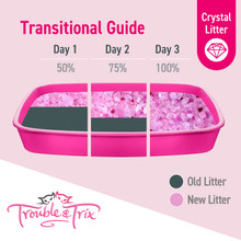 Trouble & Trix Antibacterial Crystal Cat Litter - Transitional Guide