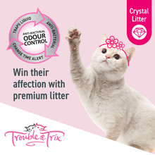 Trouble & Trix Antibacterial Crystal Cat Litter - Key Featres