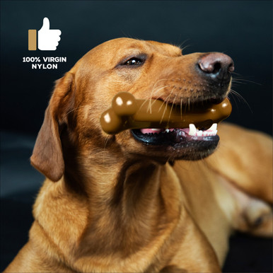 Tasty Bone Nylon Lamb Chew Toy for Dogs - Large