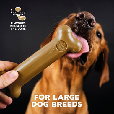Tasty Bone Nylon Lamb Chew Toy for Dogs - Large
