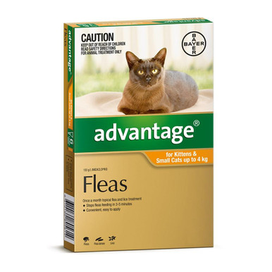 Advantage Orange Small Cat 0-4kg
