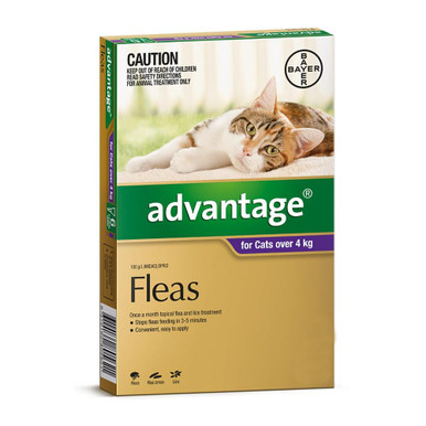 Advantage Purple Large Cat 4kg+