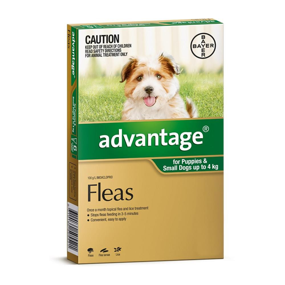 Advantage Green Small Dog 0-4kg