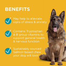 PAW Complete Calm Tryptophan Chews For Dogs (300g)