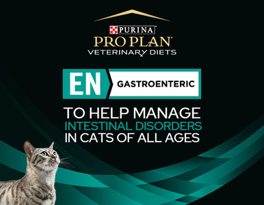 Pro Plan Veterinary Diets EN Gastroenteric Wet Cat Food (24 x 156g cans)