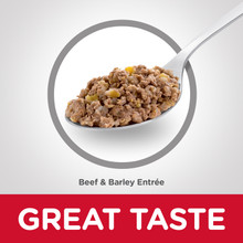 Hill's Science Diet Adult Beef & Barley Entrée Wet Dog Food (12 x 370g cans)