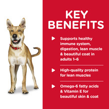 Hill's Science Diet Adult Beef & Barley Entrée Wet Dog Food (12 x 370g cans)