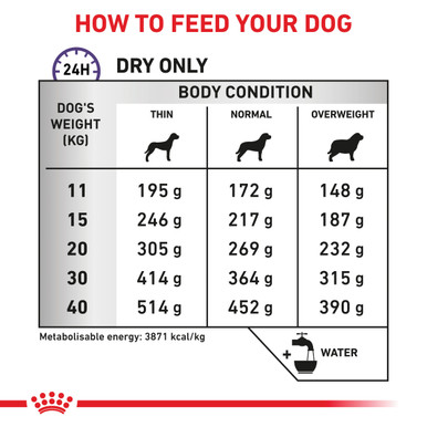 Royal Canin Veterinary Diet Canine Dental Medium & Large Dog Dry Food