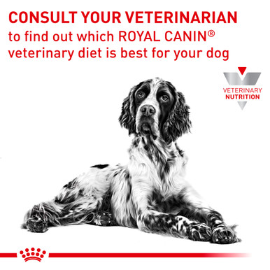 Royal Canin Veterinary Diet Canine Hypoallergenic Dry Dog Food