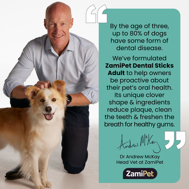 ZamiPet Dental Sticks For Adult Medium/Large Breed Dogs - 6 Sticks (200g)