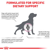 Royal Canin Veterinary Diet Canine Mobility C2P+ Dry Dog Food