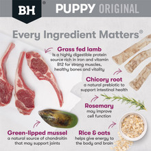 Black Hawk Puppy Original Large Breed Lamb & Rice Dry Dog Food
