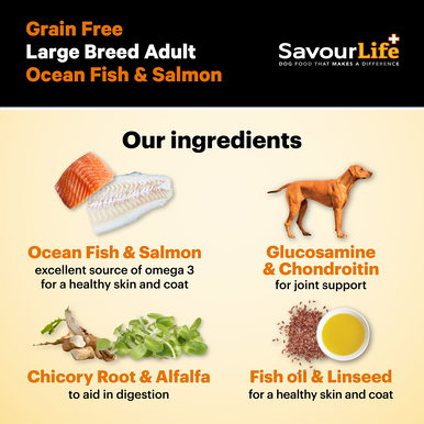 SavourLife Grain Free Adult Large Adult Ocean & Salmon Dry Dog Food