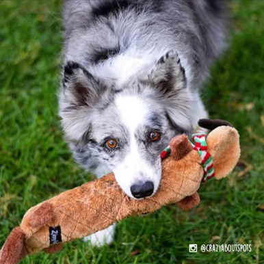 ZippyPaws Holiday Jigglerz Reindeer Squeaker Toy for Dogs