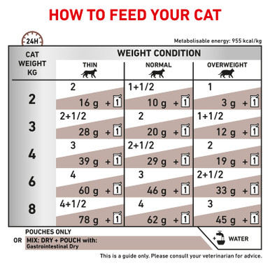 Royal Canin Veterinary Diet Feline Gastrointestinal Wet Cat Food Pouches