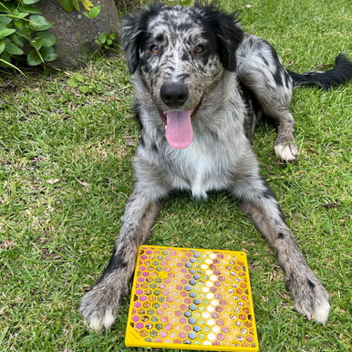 Enrichment Lick Mat - Honeycomb Large