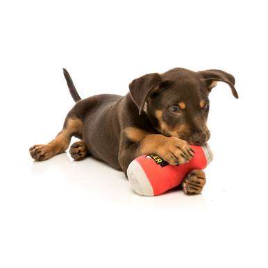 FuzzYard Can of Beer Plush Squeaker Toy for Dogs