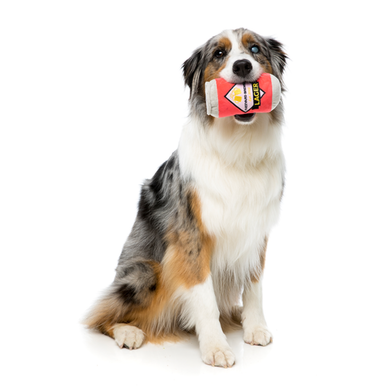 FuzzYard Can of Beer Plush Squeaker Toy for Dogs