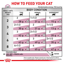 Royal Canin Veterinary Diet Feline Renal Fish Wet Cat Food Pouches