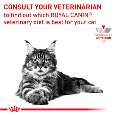 Royal Canin Veterinary Diet Feline Satiety Weight Management Dry Cat Food