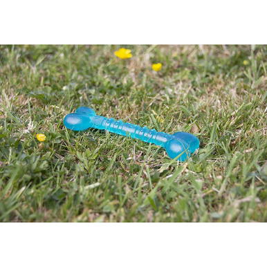Rosewood BioSafe Blue Bone Chew Toy For Small Dogs