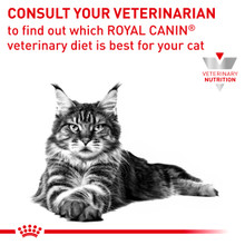 Royal Canin Veterinary Diet Feline Sensitivity Control Wet Cat Food Pouches