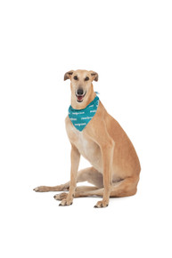 Mad Paws Bandana Teal