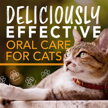 Tropiclean Enticers Teeth Cleaning Cat Gel Honey Marinated Chicken 59mL