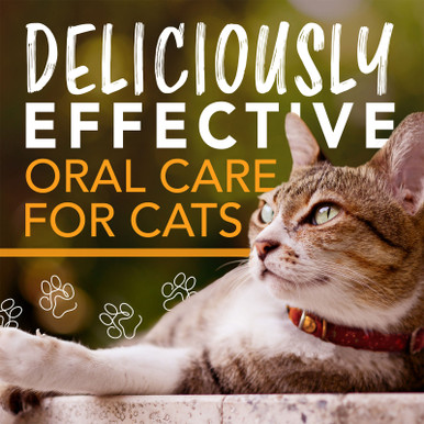 Tropiclean Enticers Teeth Cleaning Cat Gel Honey Marinated Chicken 59mL