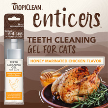 Tropiclean Enticers Teeth Cleaning Cat Gel Honey Marinated Chicken 59mL
