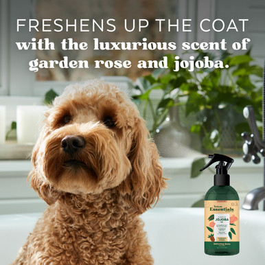 TropiClean Essentials Jojoba Oil Deodorizing Spray For Dogs (237mL)