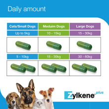 Zylkene Plus 450mg Large Dogs 15kg-60kg