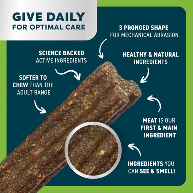 Bell & Bone Senior Dental Sticks for Dogs - Chicken, Mint & Ginger