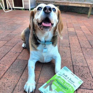 Bell & Bone Senior Dental Sticks for Dogs - Chicken, Mint & Ginger