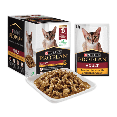 Pro Plan Adult Tender Piecs with Chicken in Gravy Wet Cat Food (12 x 85g pouches)