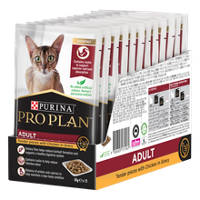 Pro Plan Adult Tender Piecs with Chicken in Gravy Wet Cat Food (12 x 85g pouches)