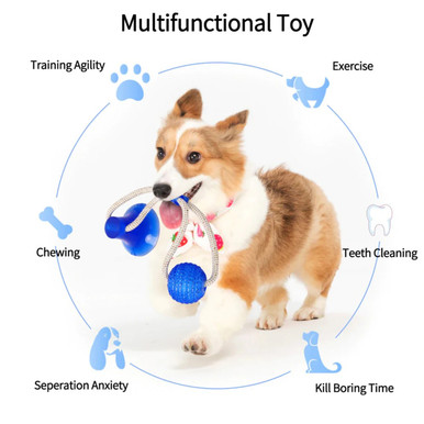 Bow & Arrow TPR Sucker+Ball Dog Toy