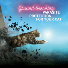 Felpreva Spot on for Small Cats 1kg - 2.5kg (1 pipette)