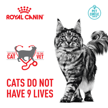 Royal Canin Veterinary Diet Feline Early Renal Wet Cat Food Pouches