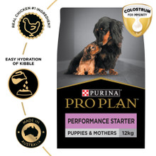 Pro Plan Performance Starter Puppies Pregnancy Nursing Chicken Dry Dog Food (12kg bag)