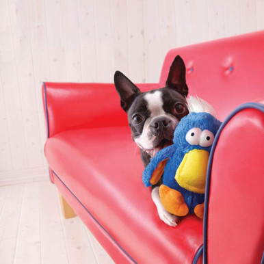 KONG Dodo Bird Plush Dog Toy Medium (Assorted Colours)