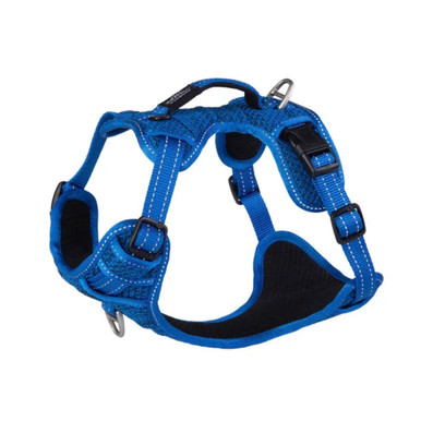 Rogz Utility Explore Harness for Dogs Blue
