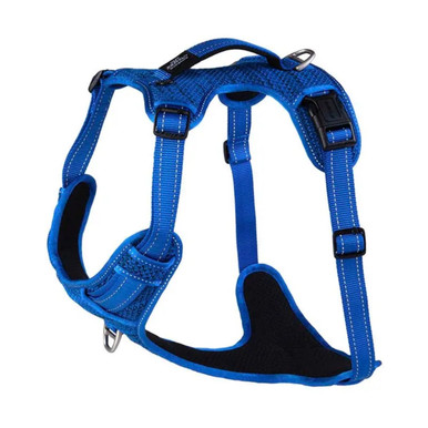 Rogz Utility Explore Harness for Dogs Blue
