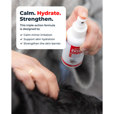 Antinol Skin Topical Spray For Dogs (100ml)