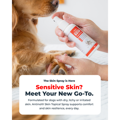 Antinol Skin Topical Spray For Dogs (100ml)