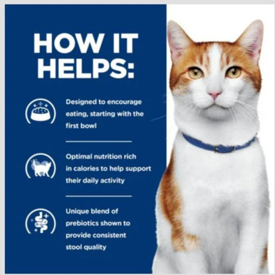 Hill's Prescription Diet ONC Care Dry Cat Food