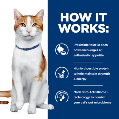 Hill's Prescription Diet ONC Care Dry Cat Food