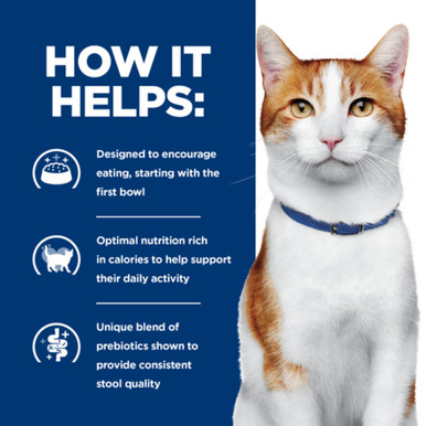 Hill's Prescription Diet ONC Care Chicken & Vegetable Stew Wet Cat Food (24 x 82g cans)