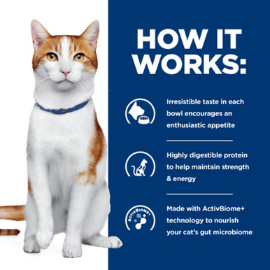 Hill's Prescription Diet ONC Care Chicken & Vegetable Stew Wet Cat Food (24 x 82g cans)